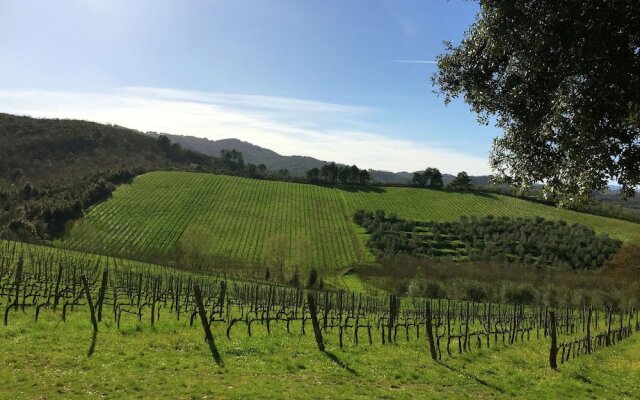 Cozy Farmhouse with Swimming Pool in Bucine