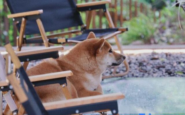 Yuanju Yuanchu Homestay