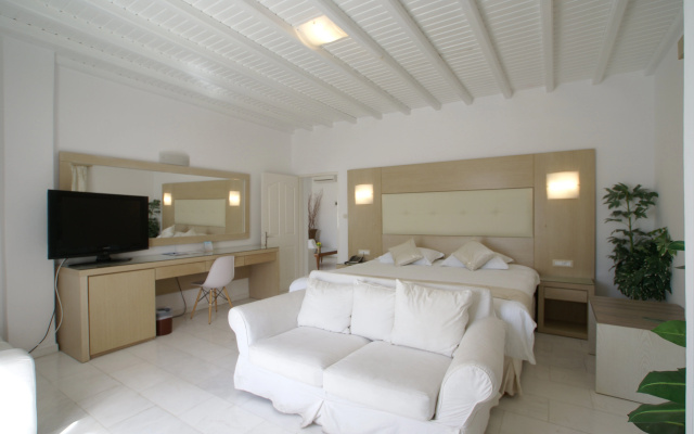 Dionysos Luxury Hotel Mykonos