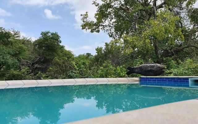 Kingfisher Creek Safari Lodge