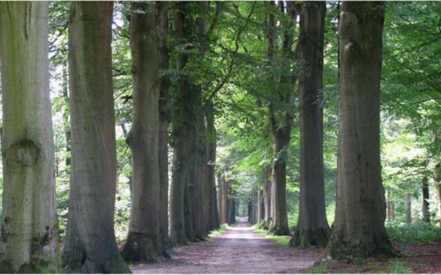 Gastenverblijf Klein Eden