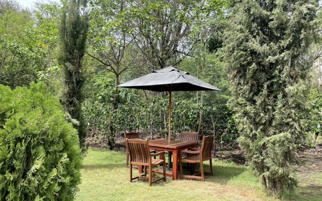 Amani Safari Lodge