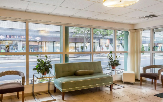 Quality Inn Flamingo