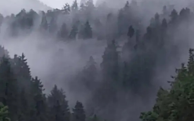 Hotel paradise hills