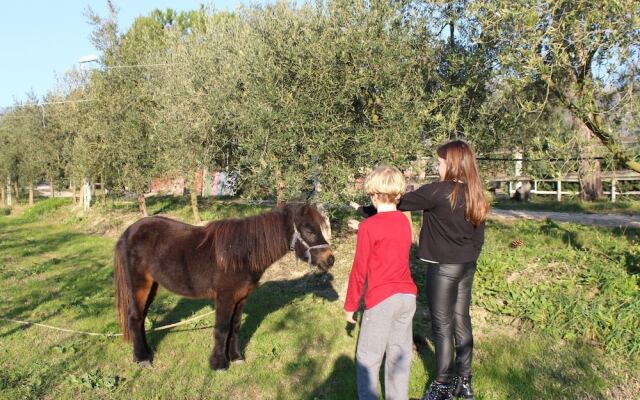 Agriturismo Pony Ranch - 1