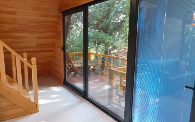 Trinitys Forest Bungalows