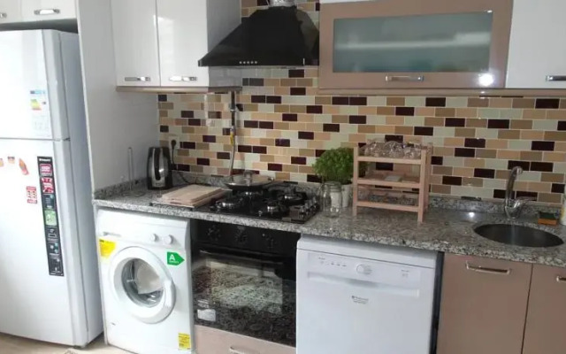Ozturk Flat