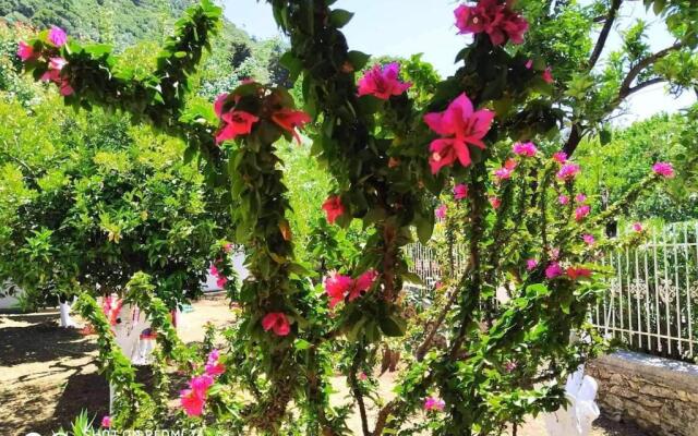 Oleander, 100m from the center and the sea