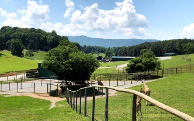 Relax Inn By OYO Natural Bridge I-81