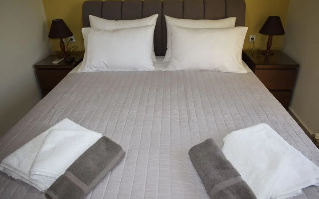 Astrantia-Adults Only