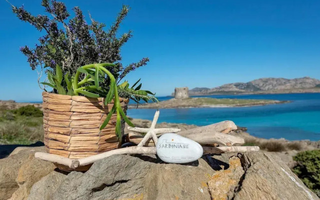 Ss-m290-pelo17at - Villa Pelosa