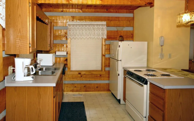 Leather And Lace 1615 By Redawning