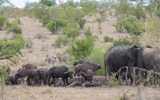 Buffelshoek Tented Camp