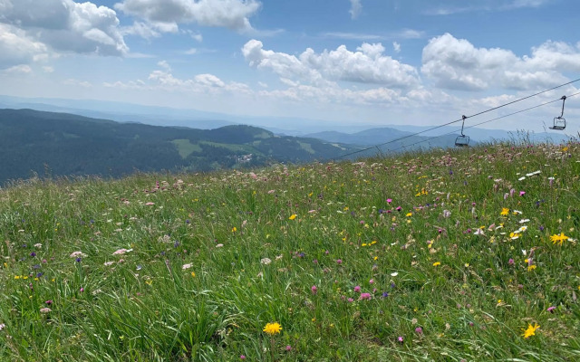 Apartmán B13 Tatran Donovaly