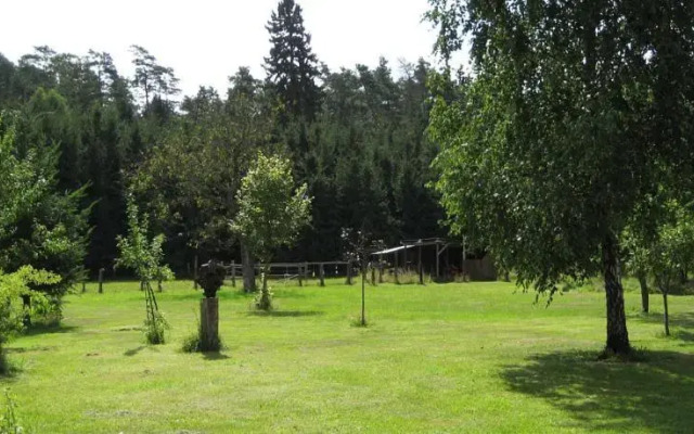 Kölpiner Forst