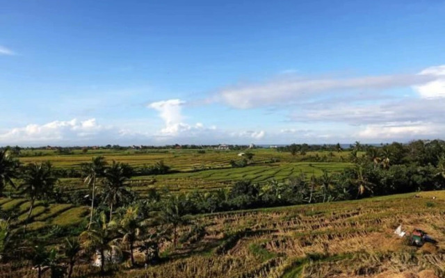 William's Place Bali