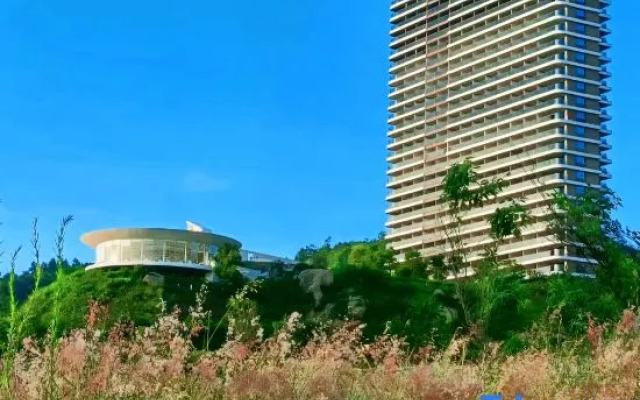 Thaili Cloud,Huizhou