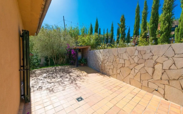 SON Voltor DE Galilea