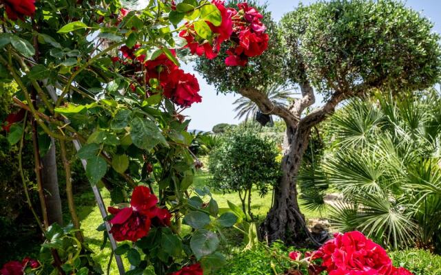 Vista Egadi B&B