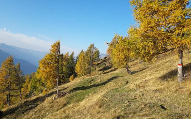 Almgasthof Himmelbauer