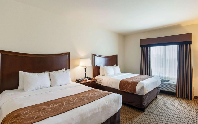 Comfort Suites San Antonio North - Stone Oak