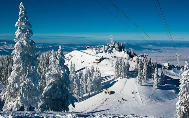 Alpin Aparthotel 2302