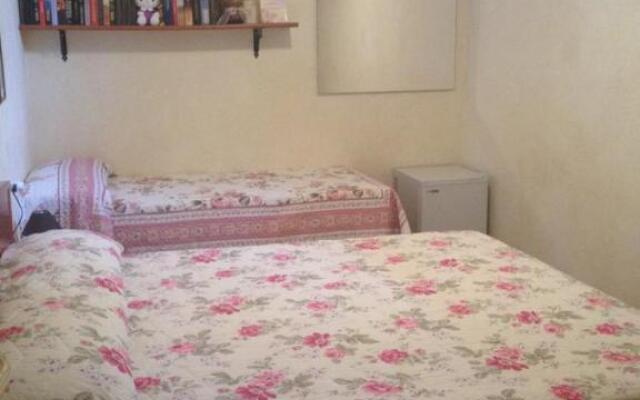 B&B Chorisia