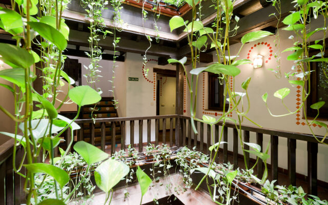 Oasis Backpackers Hostel Granada