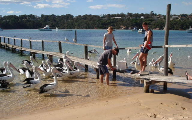 Bayview Apartments Merimbula