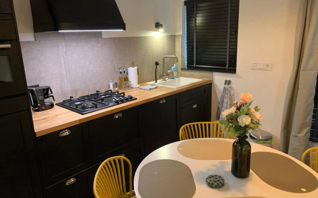 Wilde Moeflon, geniet van de vrije natuur!