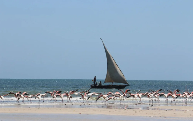 Bomani Beach Bungalows