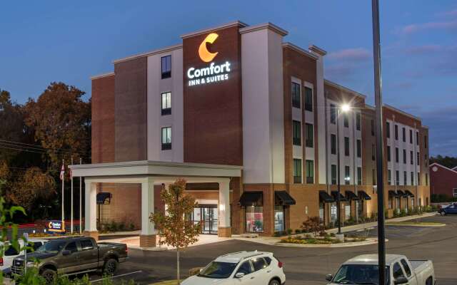 Comfort Inn & Suites Downtown near University