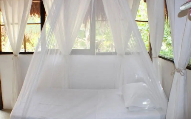 Maya Cabanas & Cenote Tulum