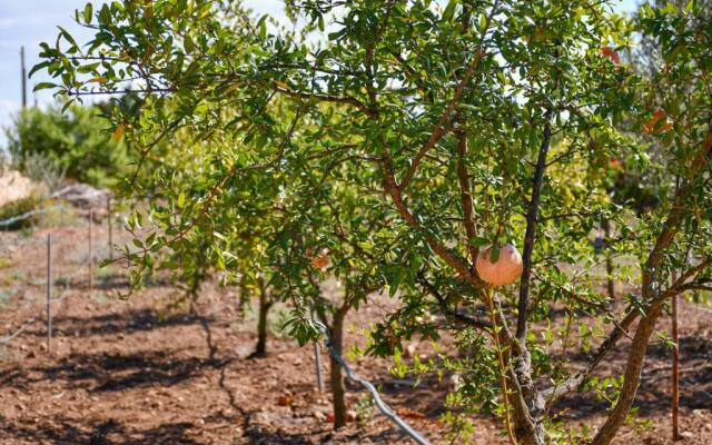 Calasole Country House