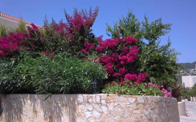 Selini Luxury Villas