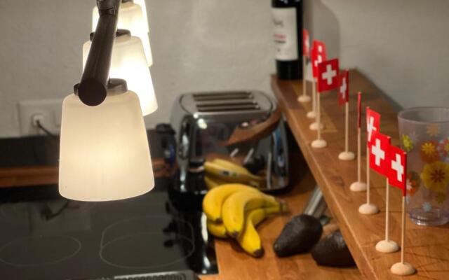 Ski in Ski Out Apartment Siviez