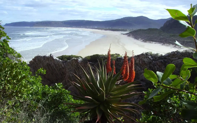Storms River Guest Lodge