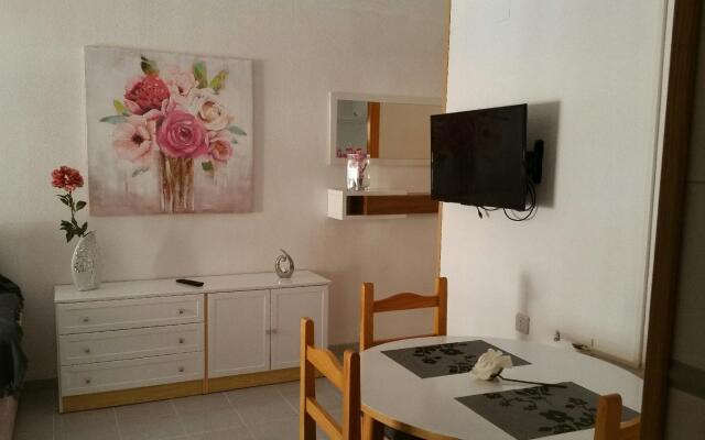 Homely Appartment Playa Acequion