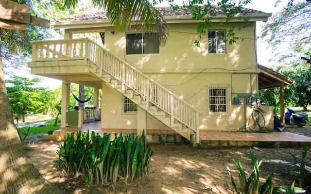 Yellow Flower House Upper