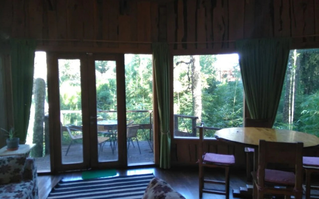 Patagonia Mawida