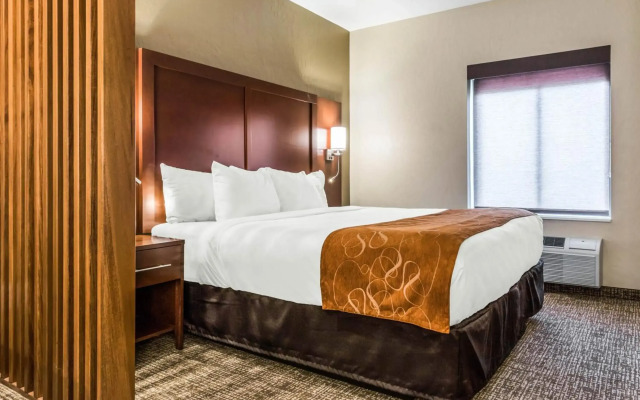 Comfort Suites Florence - Cincinnati South