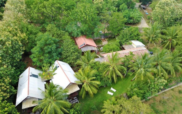 Eliyanth Udawalawe