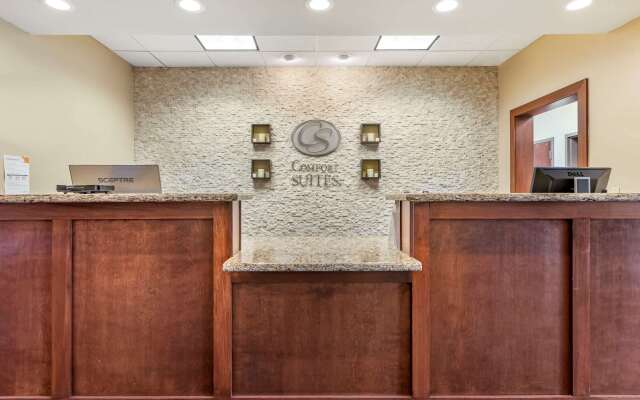 Comfort Suites Grand Rapids North