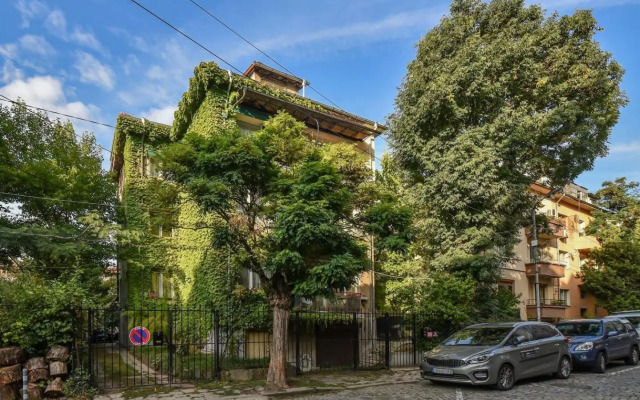 The Ivy House - A Cozy Attic near the City Center