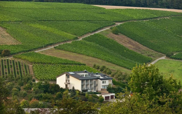 BENZ Weingut & Weinhotel