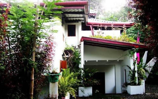 Guesthouse Sri Lanka Flora