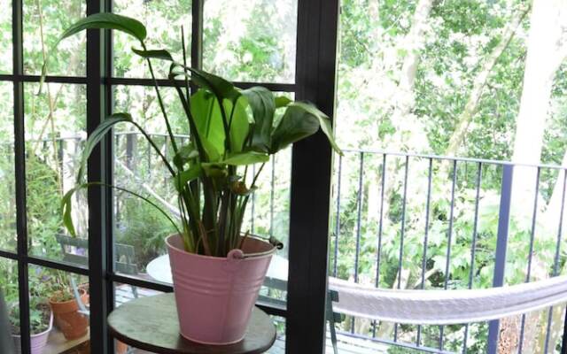 Family Home in Stoke Newington