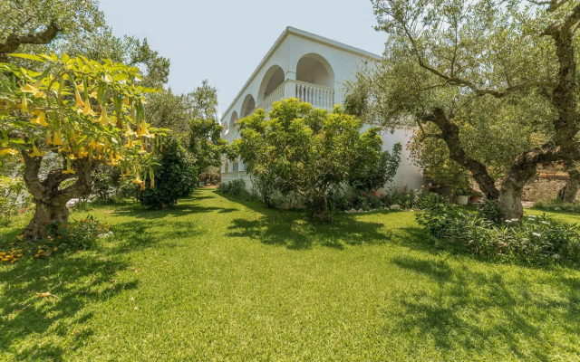 Zante Ruassi Studios