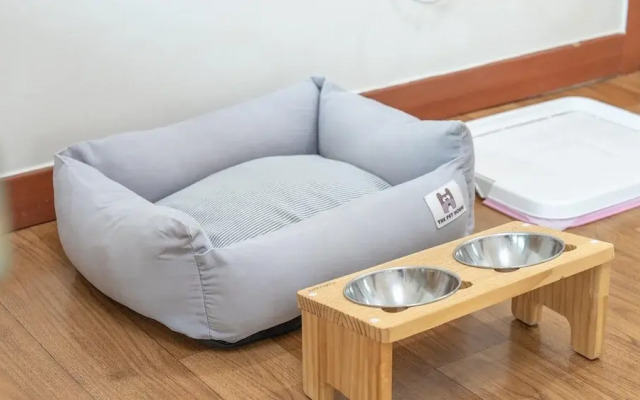 Gapyeong Highmong Pet-friendly Kids Pool