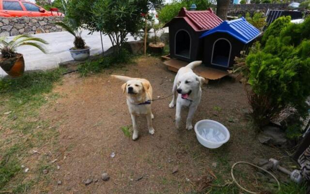 Jeju Sea The Biyang Pension